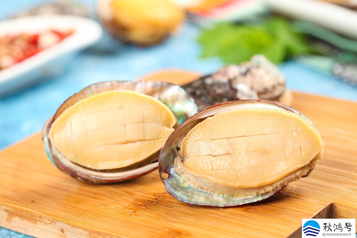 蒜香鲍鱼，做法真的很简单，肉质鲜香润滑，一口一个一盘都不够吃_哔哩哔哩 (゜-゜)つロ 干杯~-bilibili